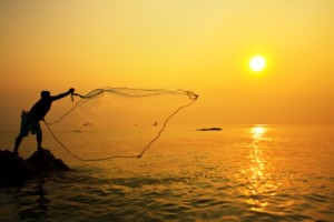 casting a net | Curiosity in business is essential | knowledge is key